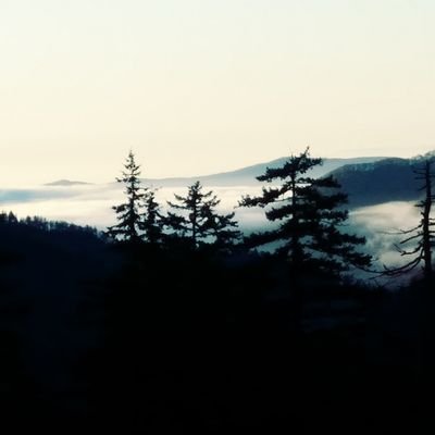 Profile Picture of April&Doug Ellison (@doug_april) on Twitter