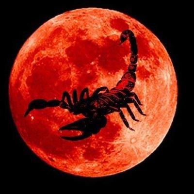 Profile Picture of Derek Jeffery (@derekjeffery2) on Twitter