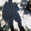 Profile Picture of Thomas Waechter (@thom 50) on Flickr