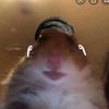 Profile Picture of Dewayne Duffy (@dewayneduffy459) on Tiktok
