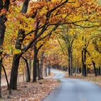 Profile Picture of Darryl Vandever (@Darryl-Vandever) on Facebook