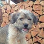 Jim McLeod - Instagram Profile Picture of Jim McLeod (@jamesmcleod78) on Instagram