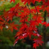 Profile Picture of Henry Davidson (@henrydavidson) on Myspace