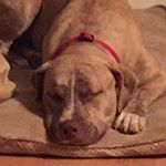 Profile Picture of Steve Maggard (@steve.maggard) on Instagram