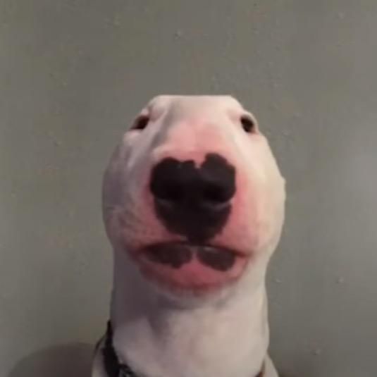 Profile Picture of Clint Baughman (@lanebaughman_39) on Tiktok