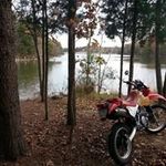 Profile Picture of frank cybulski (@cybulskifrank) on Instagram