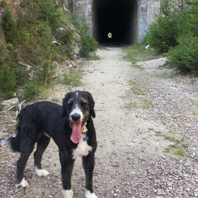 Profile Picture of Amanda Mayer (@camander) on Pinterest