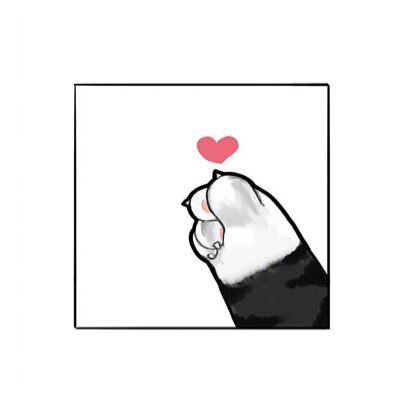 Profile Picture of Vera Zhang (@verazhang111) on Twitter