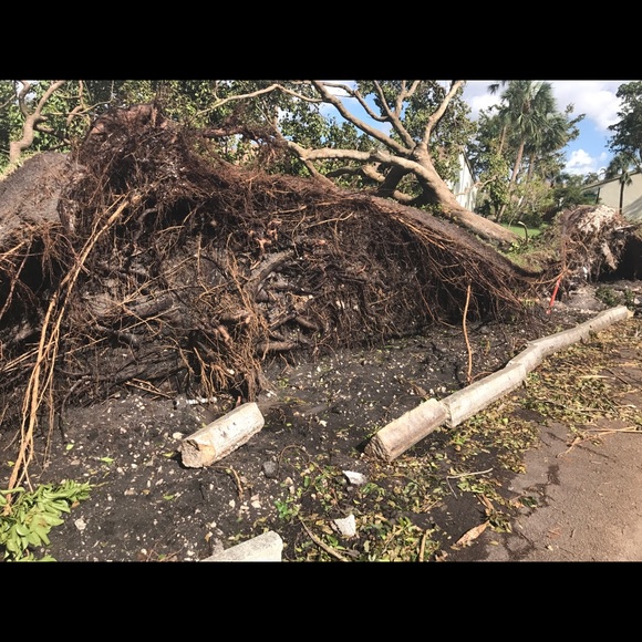 Profile Picture of Danny Mcmanus (@flip954) on Poshmark