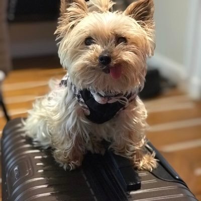 Profile Picture of Merci Coco (@PamelaWenzel4) on Twitter