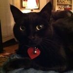 Profile Picture of Marcy Foster (@feebiefoster) on Instagram