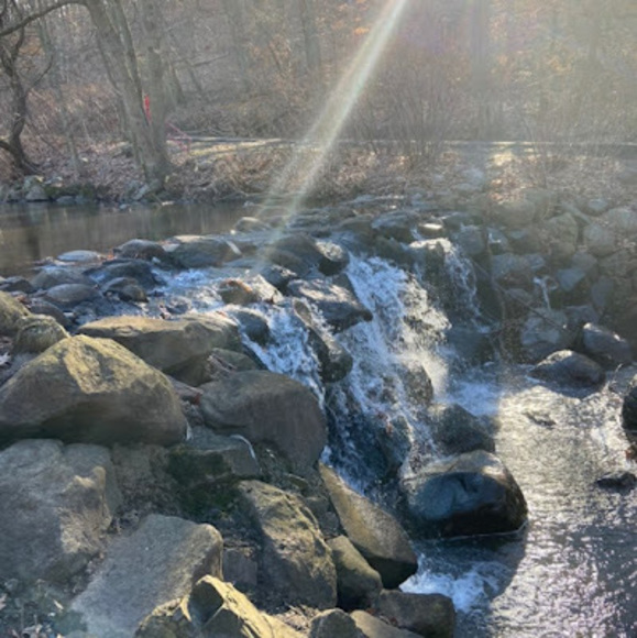 Profile Picture of Jonathan Meadows (@itsjustjon) on Poshmark