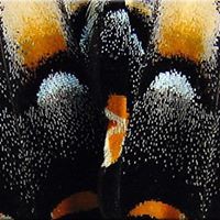 Profile Picture of Jeff Burian (@jeff-burian-1) on Quora