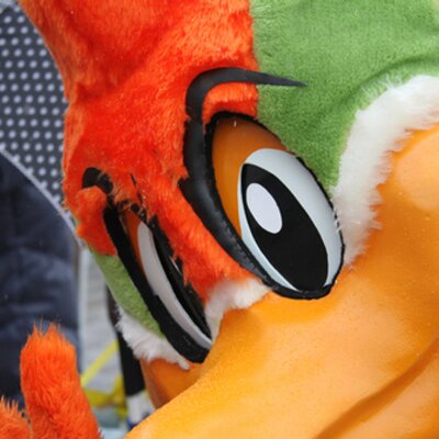 Profile Picture of Sanixblues_kite (@sanixblues_kite) on Twitter