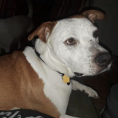 Profile Picture of Wes Fischer (@WesFischer2) on Twitter