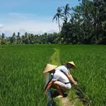 Profile Picture of Nathaniel Park (@ya_m8_n8) on Instagram