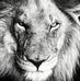 Profile Picture of Michael Blackman (@michael.blackman.7399) on Facebook