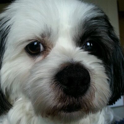 Profile Picture of Pat Given (@PStero) on Twitter