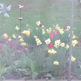 Profile Picture of Kathy Stapleton (@kathy.stapleton.568) on Facebook