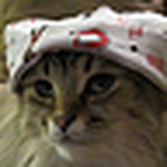 Profile Picture of Briansandyjack (@briansandyjack) on Flickr