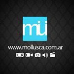 Profile Picture of Julio Novoa (@molluscaok) on Instagram