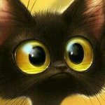 Profile Picture of Nabeel Sayed (@sayednxx) on Instagram