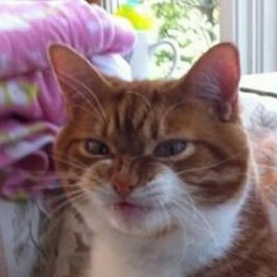 Profile Picture of Jacob Penner (@ppo21345) on Twitter