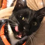 Profile Picture of Sara Sturm (@sara.sturm.96) on Instagram