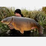 Profile Picture of Erwin Macugowski (@e.macugowski_karelniklpolska) on Instagram