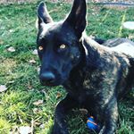 Profile Picture of Kilo Graham Hicks (@kilograhamhicks) on Instagram