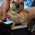 Profile Picture of Franklin Richard Kettle (@franklin.richard.kettle) on Facebook