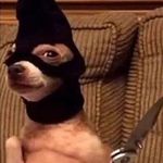 Profile Picture of Alex G. (@alex.gritton30) on Instagram