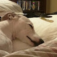 Profile Picture of Julia Gourley (@julia-gourley-4) on Quora