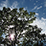 Profile Picture of Paula Miller (@Paula Miller515) on Flickr