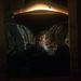 Profile Picture of Joel McGann (@joelmcgann) on Pinterest
