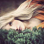 Profile Picture of Sarah Ann Wright (@sarah ann wright) on Flickr