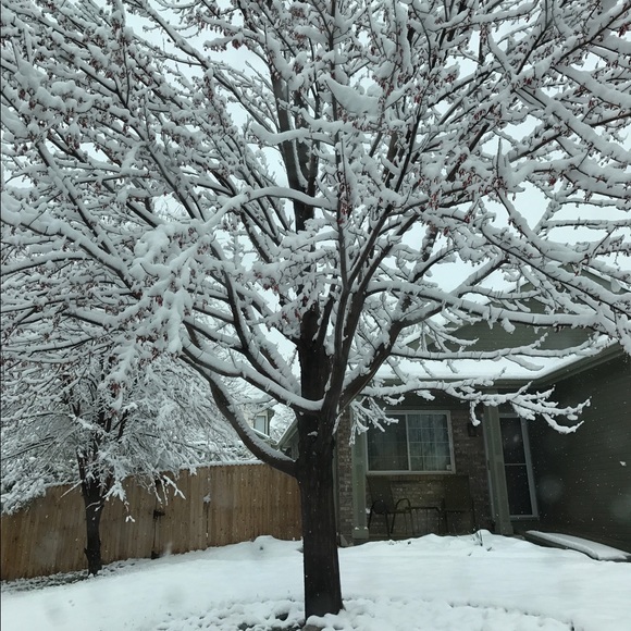 Profile Picture of Dung Ngo (@dungngo) on Poshmark