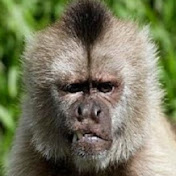 Profile Picture of Chris Roby (@goodtwitch) on Youtube