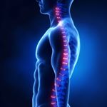 Dott.Mario Catenaccio - Instagram Profile Picture of Dott.Mario Catenaccio (@dott.mariocatenaccio_osteopata) on Instagram