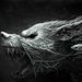 Profile Picture of David Lenger (@davidlenger) on Pinterest