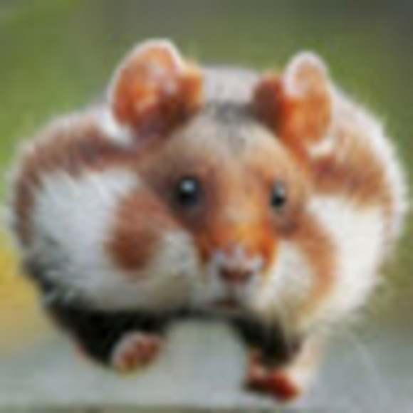 Profile Picture of Caleb Bieneman (@calebbieneman) on Poshmark