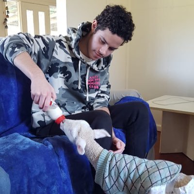 Profile Picture of Matthew Langer (@MatthewLanger8) on Twitter