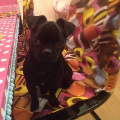 Profile Picture of George Hawkes (@HawkesGeorg) on Twitter