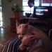 Profile Picture of Sherry Field (@sherry.field.12) on Facebook