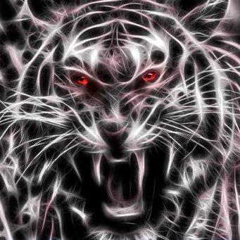 Profile Picture of Chase Sizemore (@sizmictoad01) on Twitter