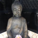 Profile Picture of jacquelinemcclory1 (@jacquelinemcclory1) on Instagram