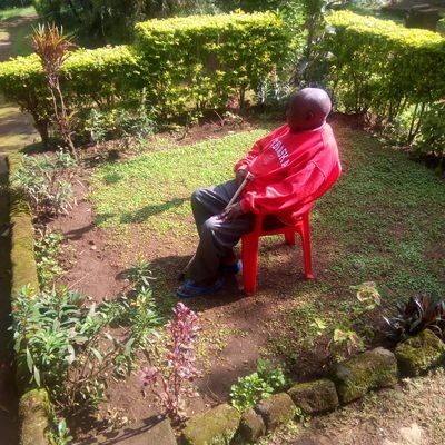 Profile Picture of Lydia Albert (@LydiaAl51202630) on Twitter