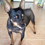 Profile Picture of claudia murga (@murga.claudia) on Instagram