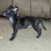 Profile Picture of Lisa Dougherty (@lisadougherty644) on Youtube