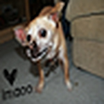 Profile Picture of Launa Smith (@launansphotography) on Flickr